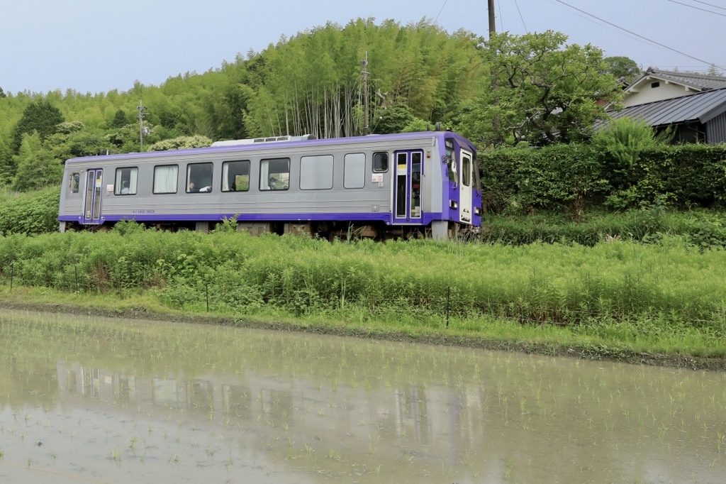 関西本線　賀茂ー笠置間にて3