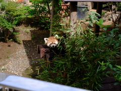 2020/06/14 浜松市動物園