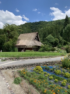 真夏の白川郷
