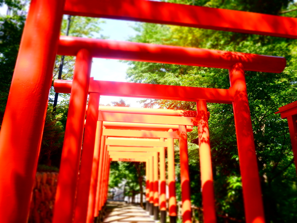 2020/07/12 法多山 二葉神社
