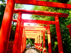 2020/07/12 法多山 二葉神社