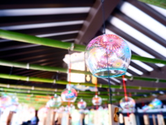 2020/07/12 法多山1