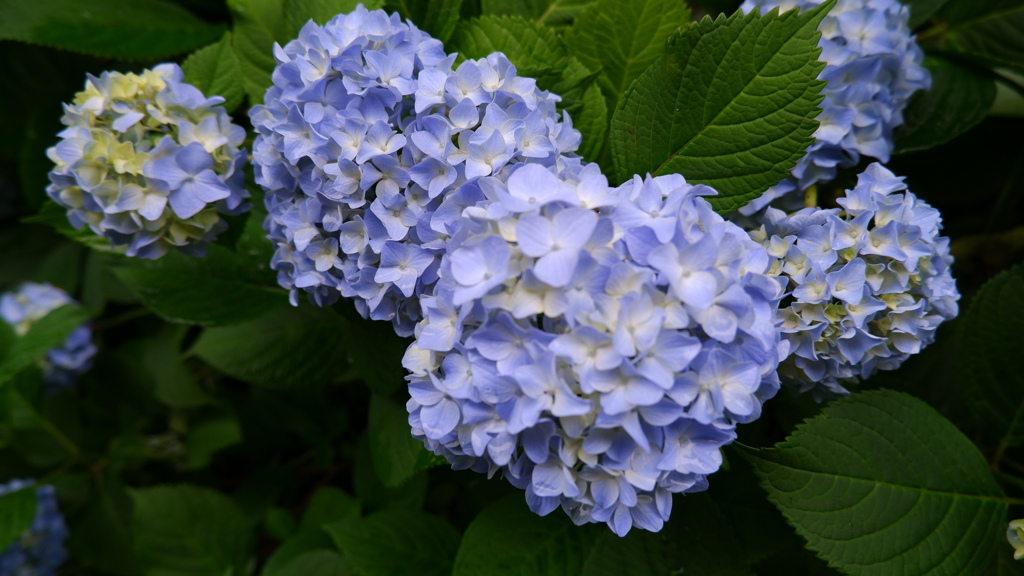 2020/05/31 名城公園2