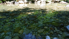 2020/05/30 阿寺川