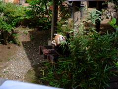 2020/06/14 浜松市動物園