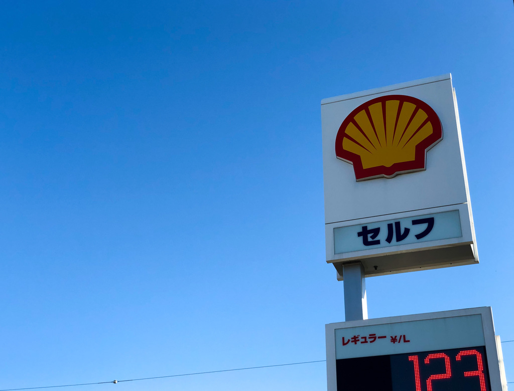 見上げたらシェル