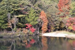 みくるま池の紅葉