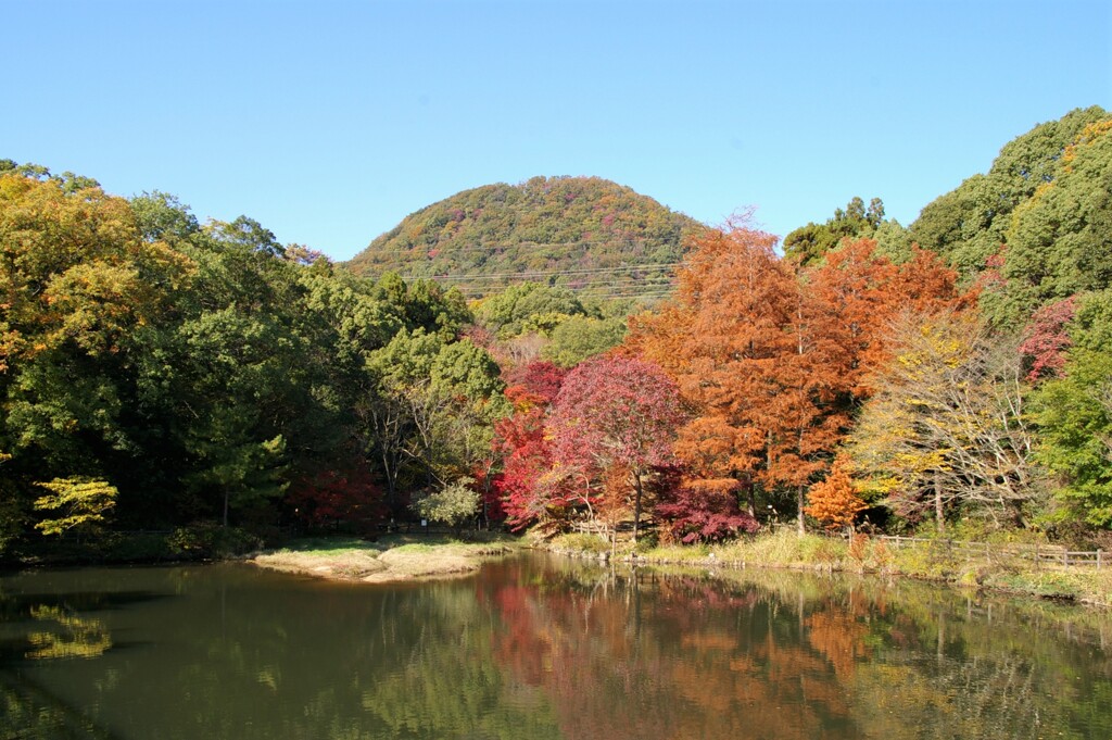 初冬の甲山森林公園