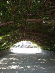 ここで一休み。