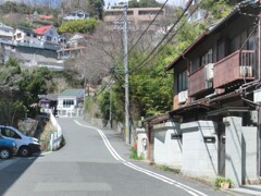 散歩道