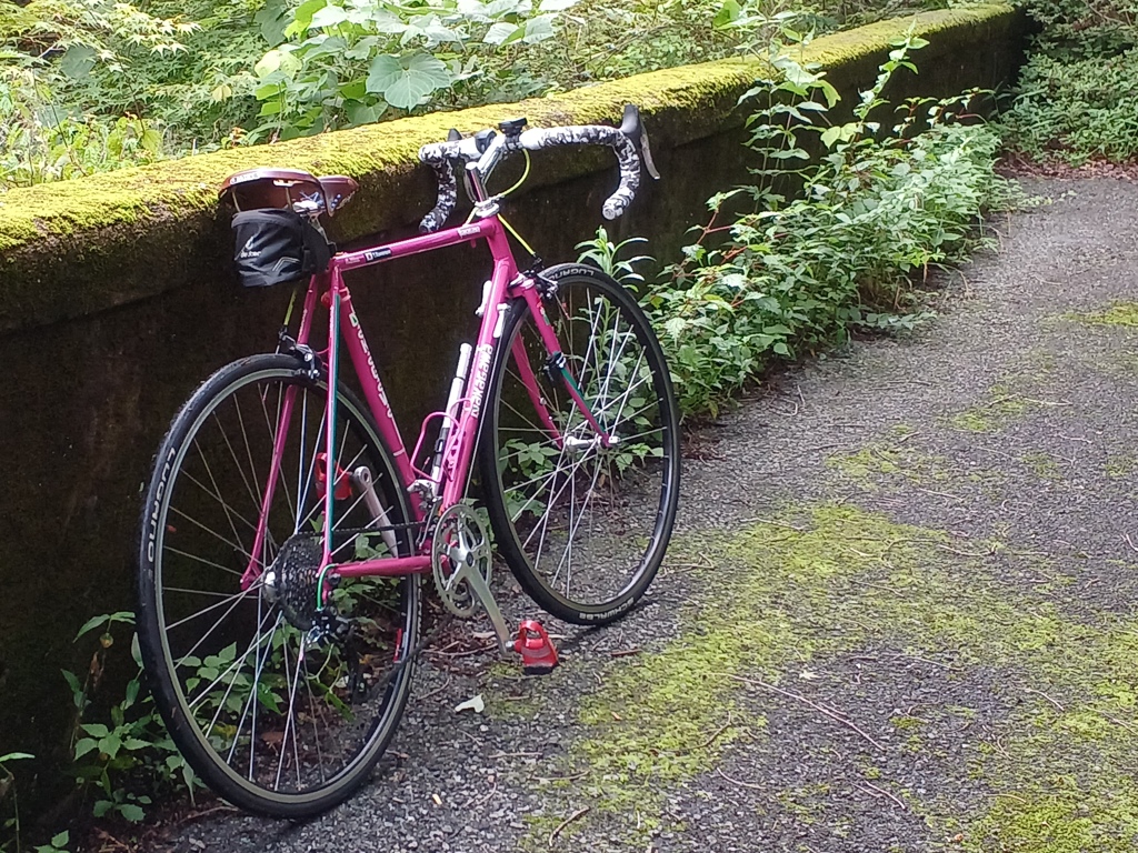 苔むす旧道