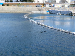 ポカポカ陽気の1/3