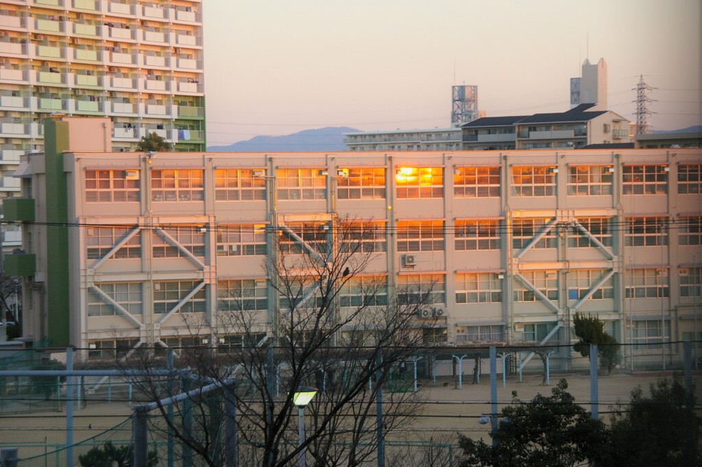 校舎の窓に映る朝日