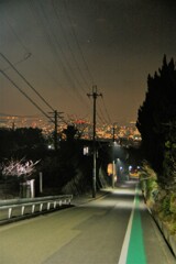 聖地「ハルヒ坂」夜景版