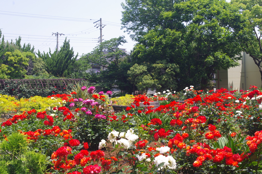 西宮市瓦林公園