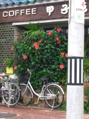 ハイビスカスの喫茶店