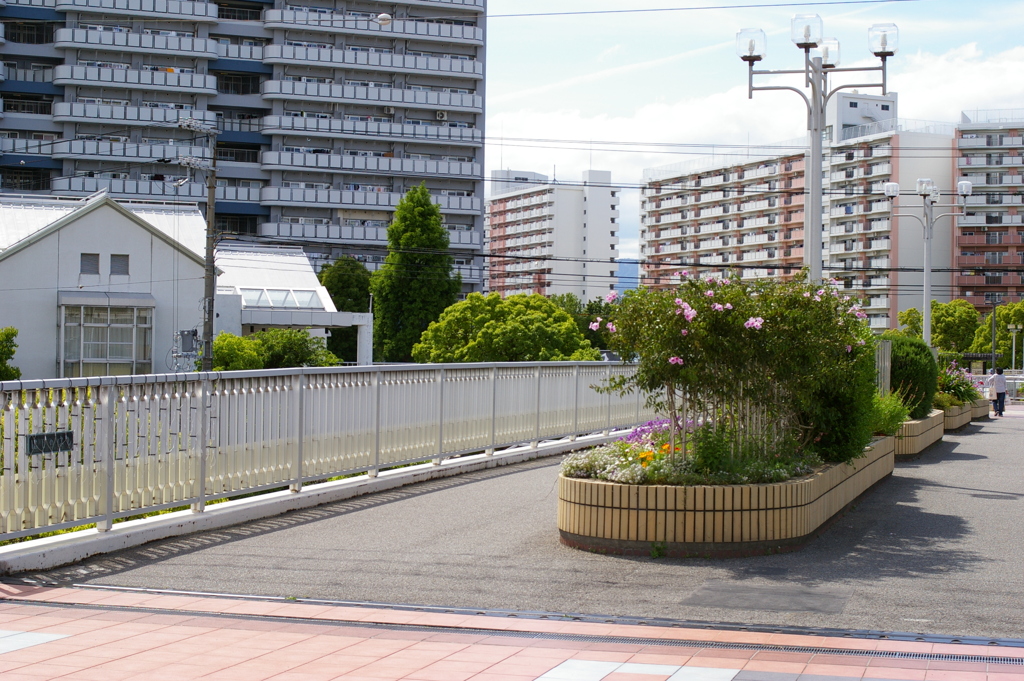 にじのはし　その2