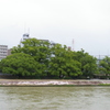 武庫川の大クスノキ