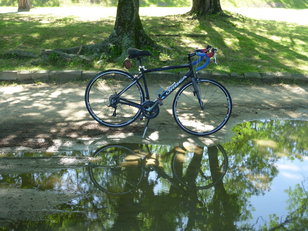 雨上がりのサイクリング