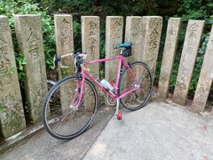 朝のサイクリング