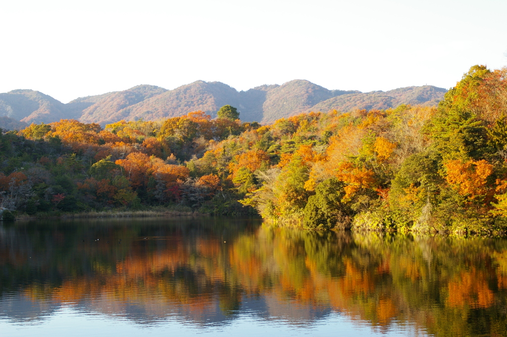 五ケ池と紅葉