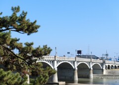 武庫大橋（日本百銘橋）