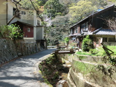 昭和の雰囲気が残る散歩道