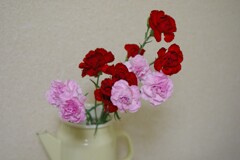 切り花　安くなっていた。