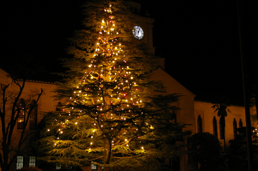 関西学院のクリスマスツリー