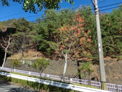 宝塚中山五月台の坂道