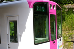 阪神武庫川線の新型車両