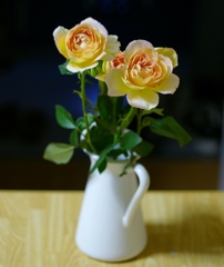バラ　切り花