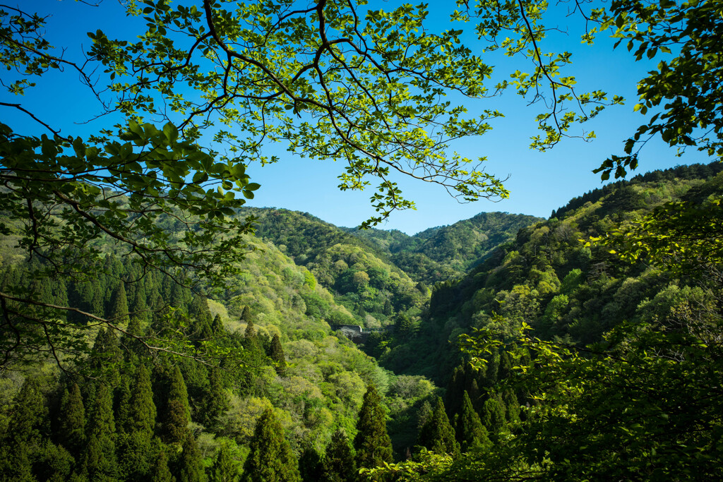 六甲の初夏