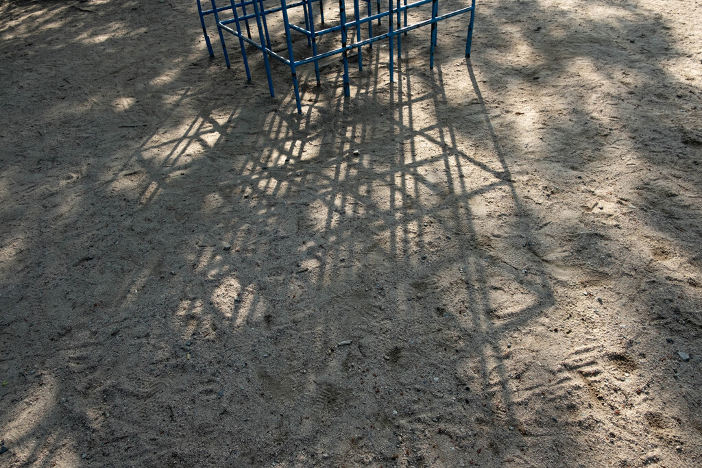 公園の朝