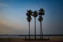 須磨浦公園