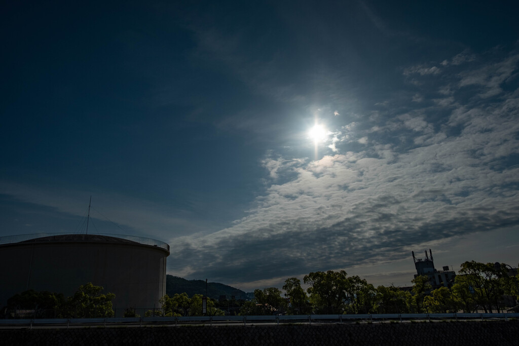 朝の散歩