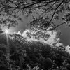 六甲の初夏