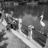 頑張って釣ってくれよ