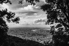 高台から
