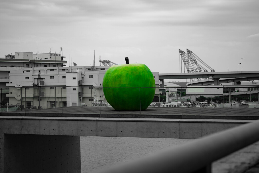 リンゴ