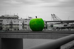 リンゴ