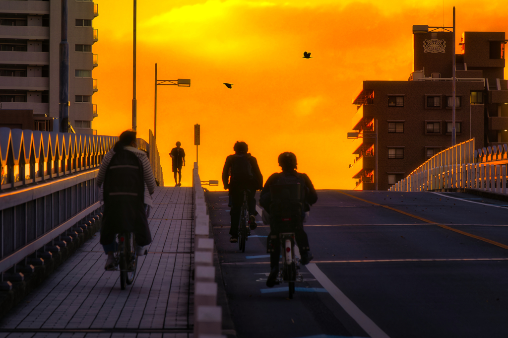 家路