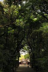 神域への入り口