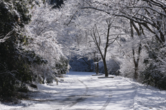 雪のイルミネーション