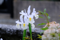 さぁ飛び立て！