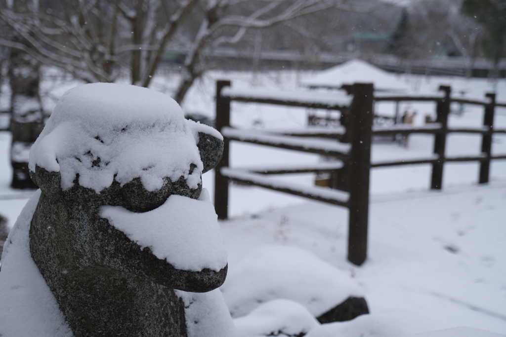 雪ガッパ