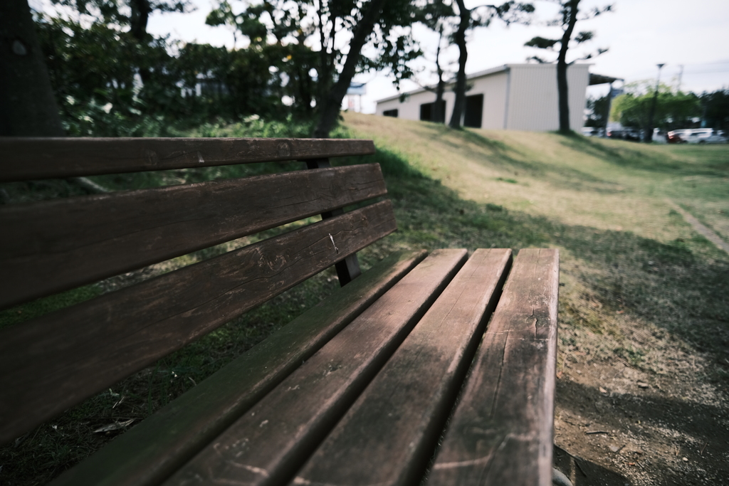 木陰で一息