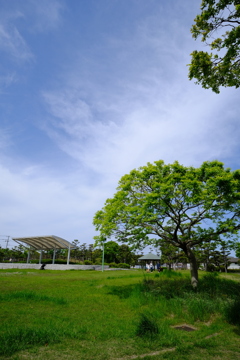 蒼青と