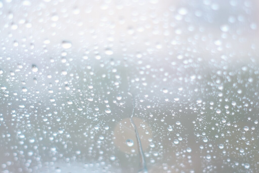 雷が連れてきた雨