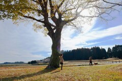 風の匂い